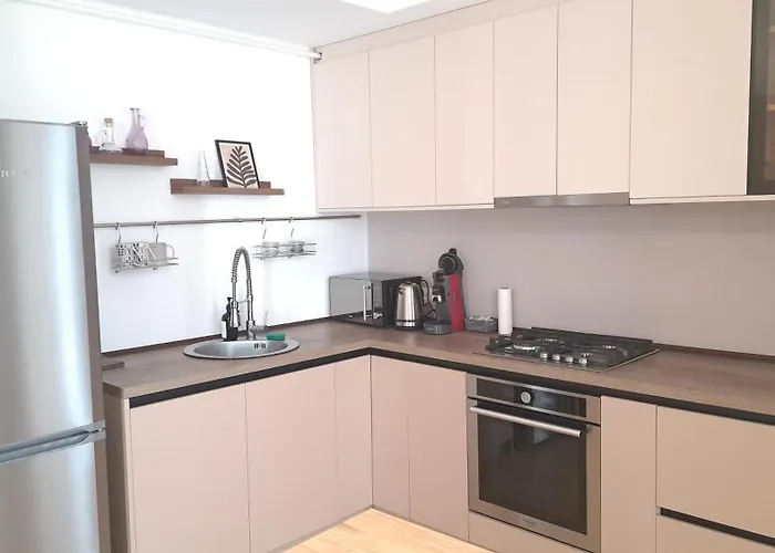 Luxury Central Apartment At Carmen Sylva